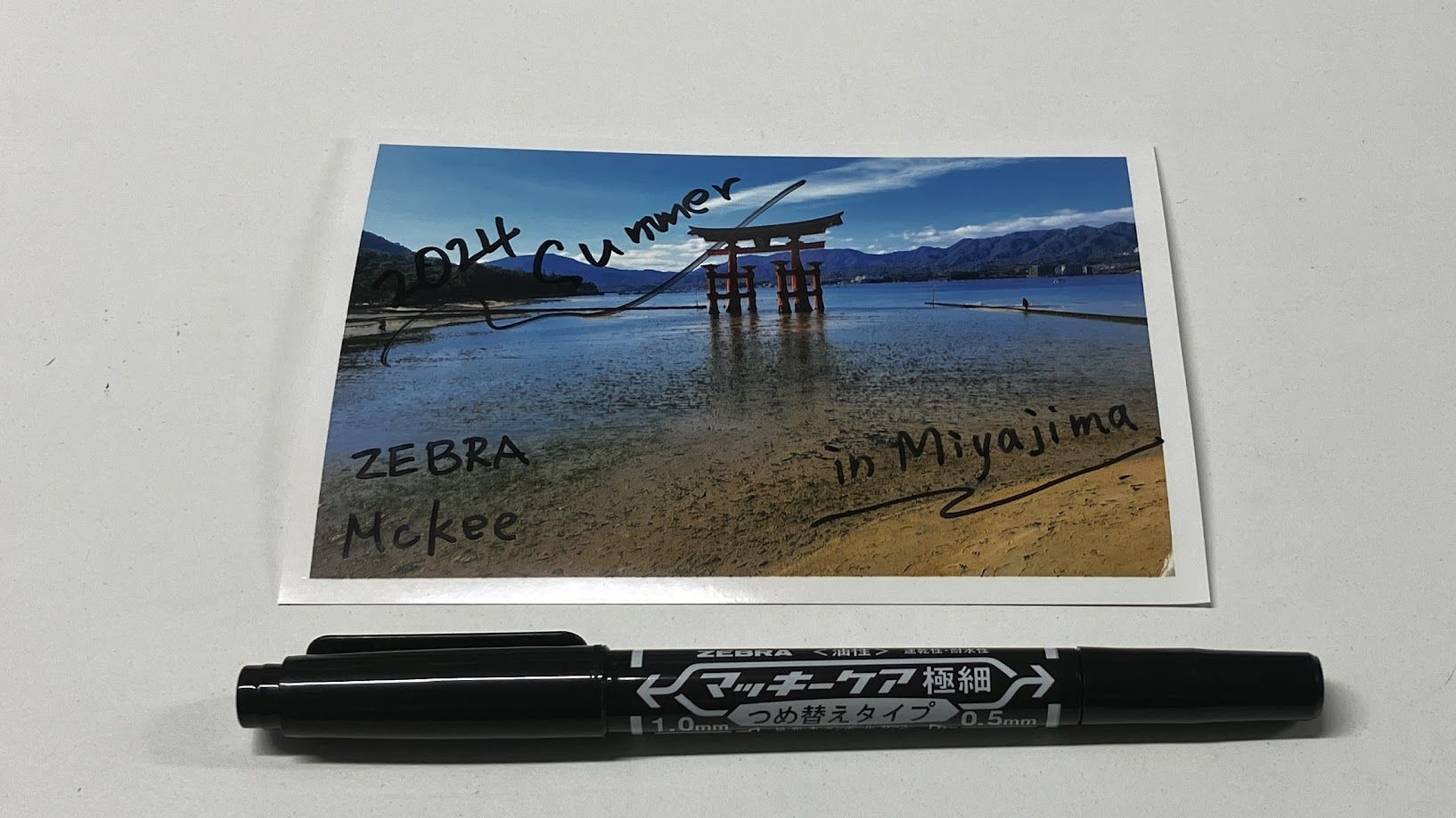 マッキー写真.JPG