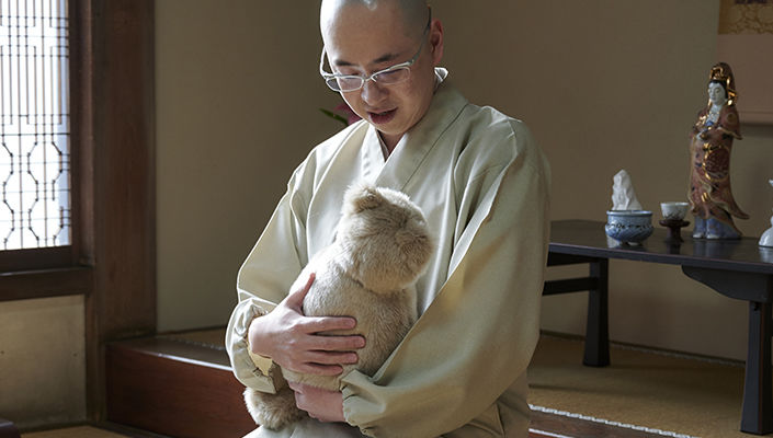 猫を抱いて瞑想？