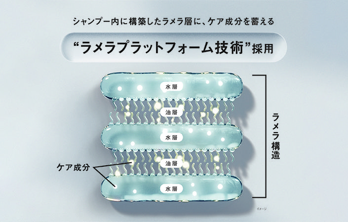 ラメラプラットフォームとは