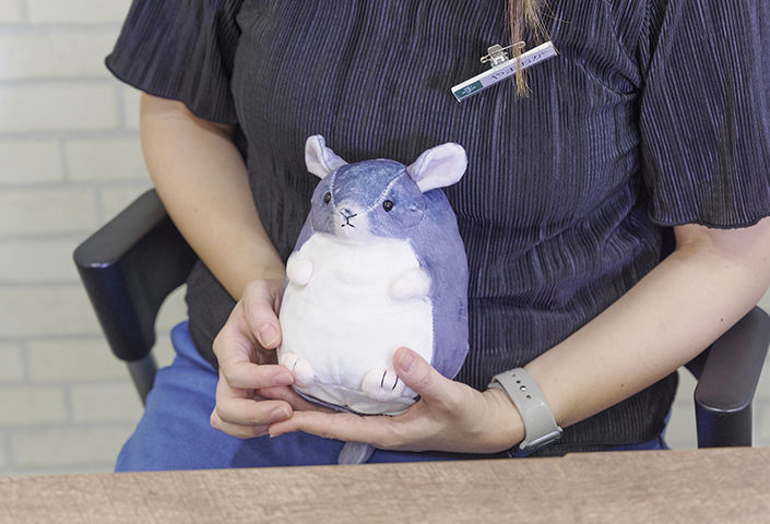 シリカゲルが動物たちの好物の形に！