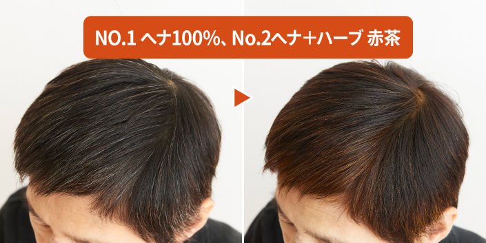 〈ナイアード〉ヘナ染めの仕上がり例