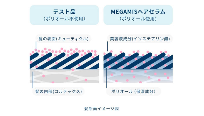 美容液成分の浸透について