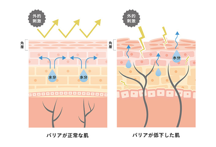 肌の状態