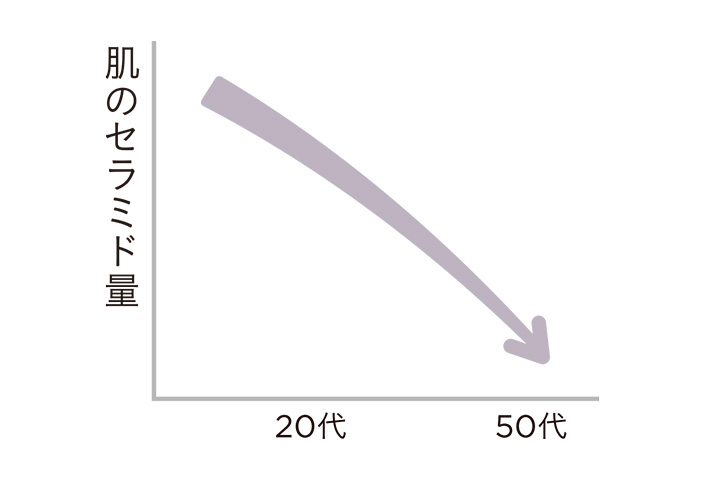 肌のセラミド量