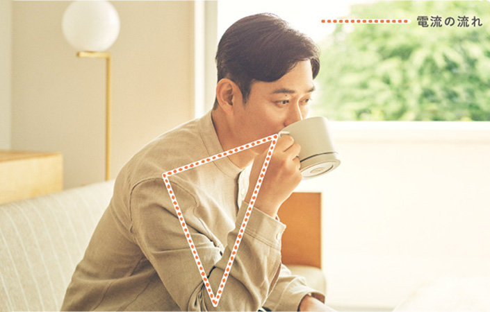 エレキソルトカップ 電気の流れ