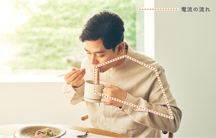 エレキソルトカップ 電気の流れ