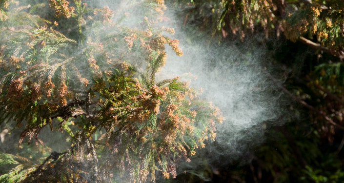 玄関タイルが汚れる原因は？