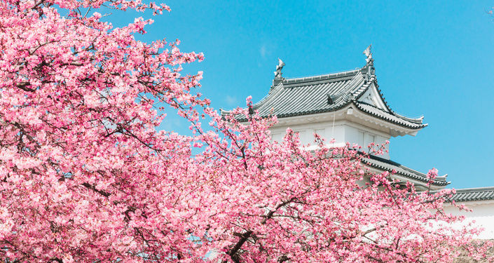 春・秋の旅行に必要な持ち物リスト