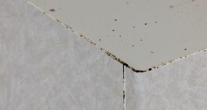 カビ・ぬめりには塩素系洗剤を使う
