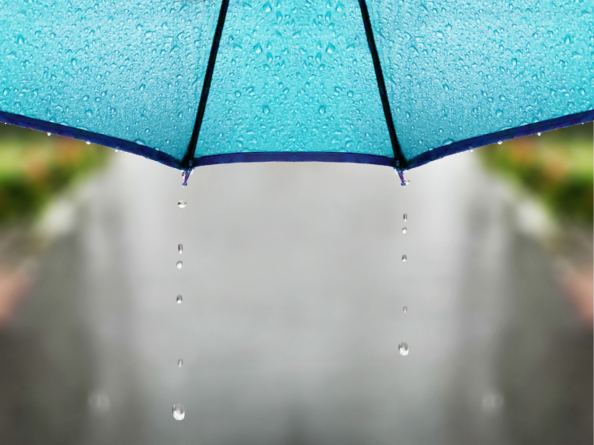 雨に濡れないを重視した折りたたみ傘