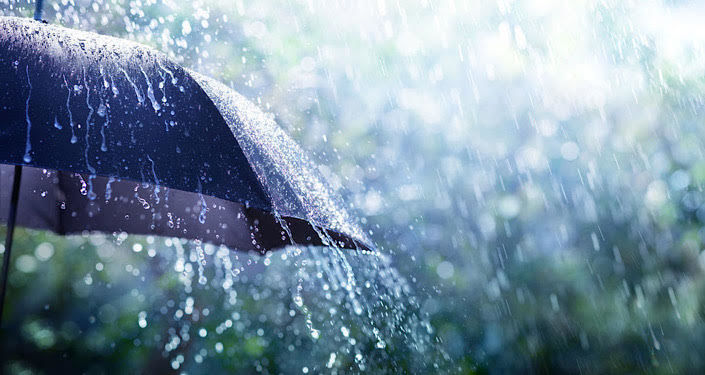 日傘（晴雨兼用傘）の撥水性・耐風性