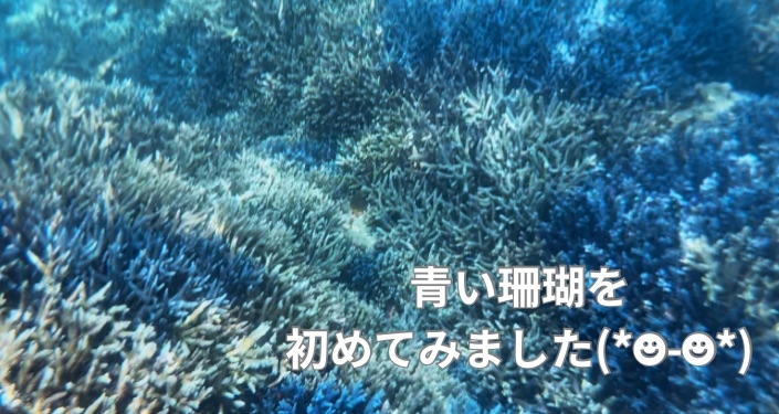 与那国島 海底遺跡 (10).jpg
