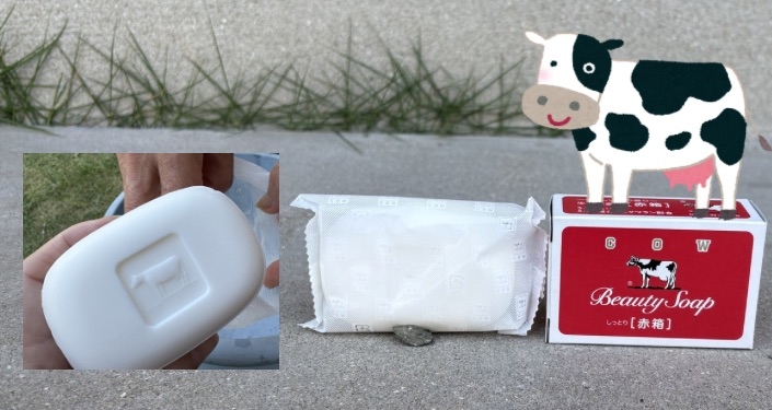 叔母にプレゼントしました - 11.jpg