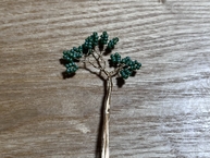 IMG_6177 (1).jpeg