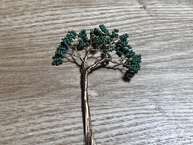 IMG_6184 (1).jpeg