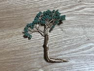 IMG_6192.jpeg