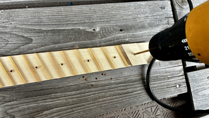 IMG_1543.jpg