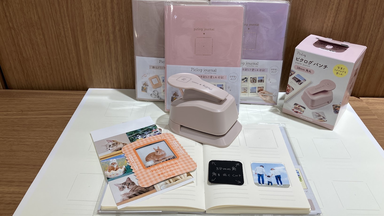 ピクログ候補.JPG